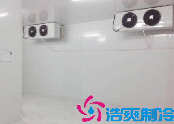 寧波市建造-18~-25℃食品冷凍庫需要投資多少費用？_好色先生TV网站製冷