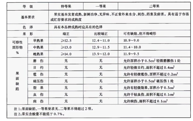 李子好色先生看片APP建造完成後如何用於儲存的？這些你都知道嗎