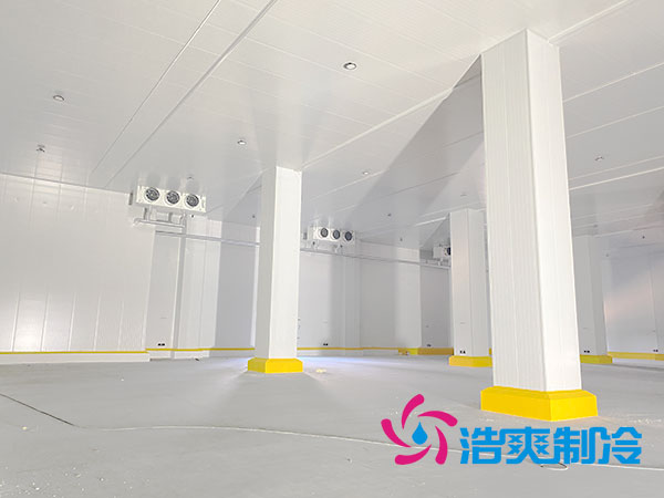 上海低溫冷凍庫建造廠家-好色先生TV网站製冷