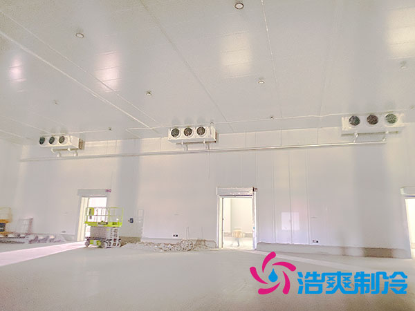 寧波低溫冷凍庫建造廠商-好色先生TV网站製冷